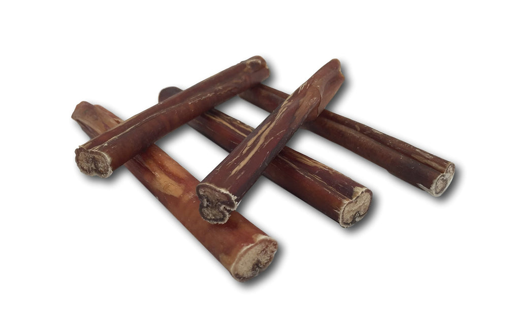 Top Dog Chews savory aroma highlighted during treat time
