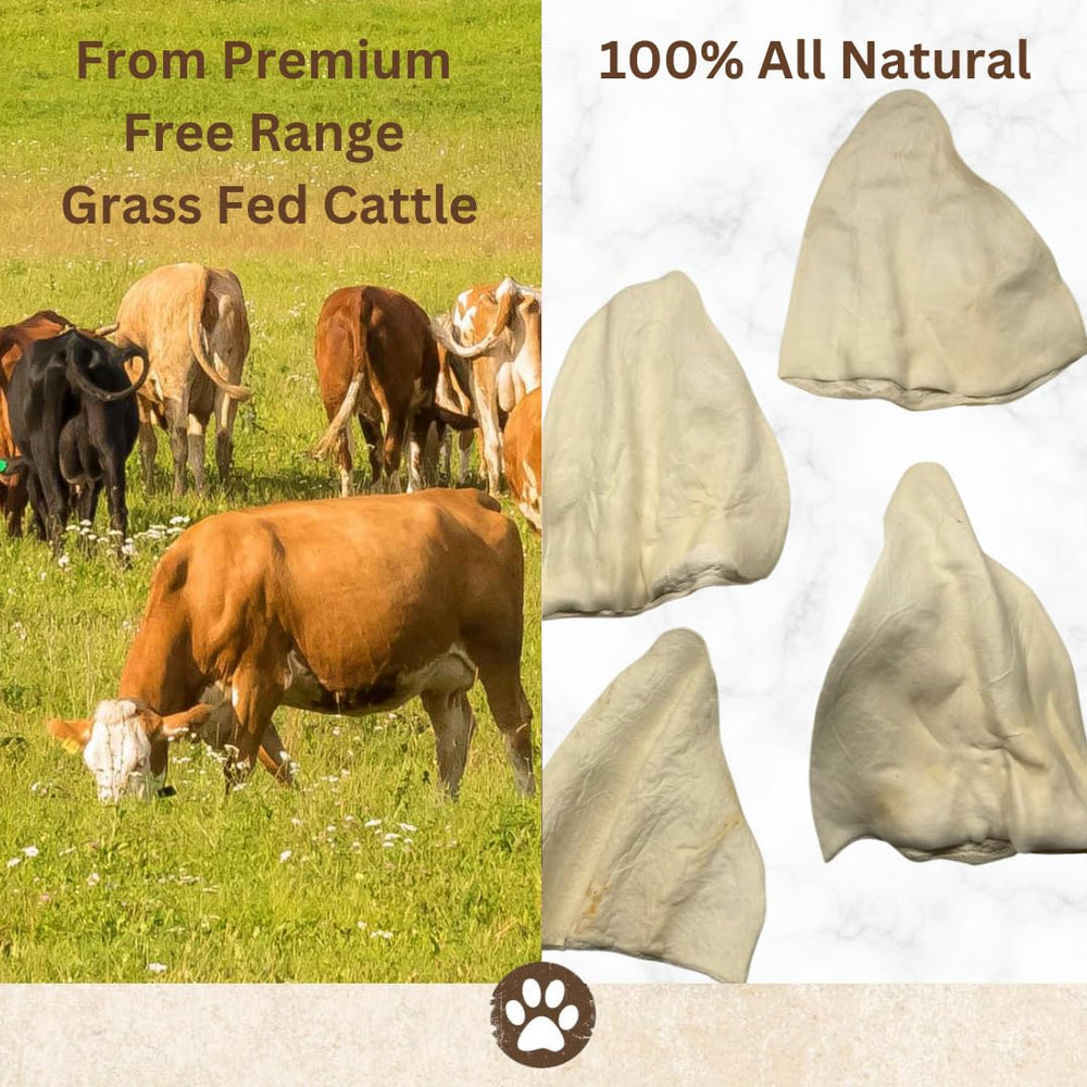 Top Dog Chews thick-cut cow ears, long-lasting chew option for dogs