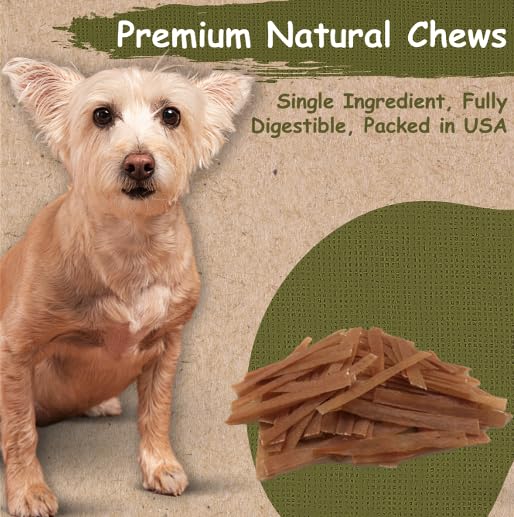 Top Dog Chews USA-made turkey tendon dog treat highlights quality and natural ingredients