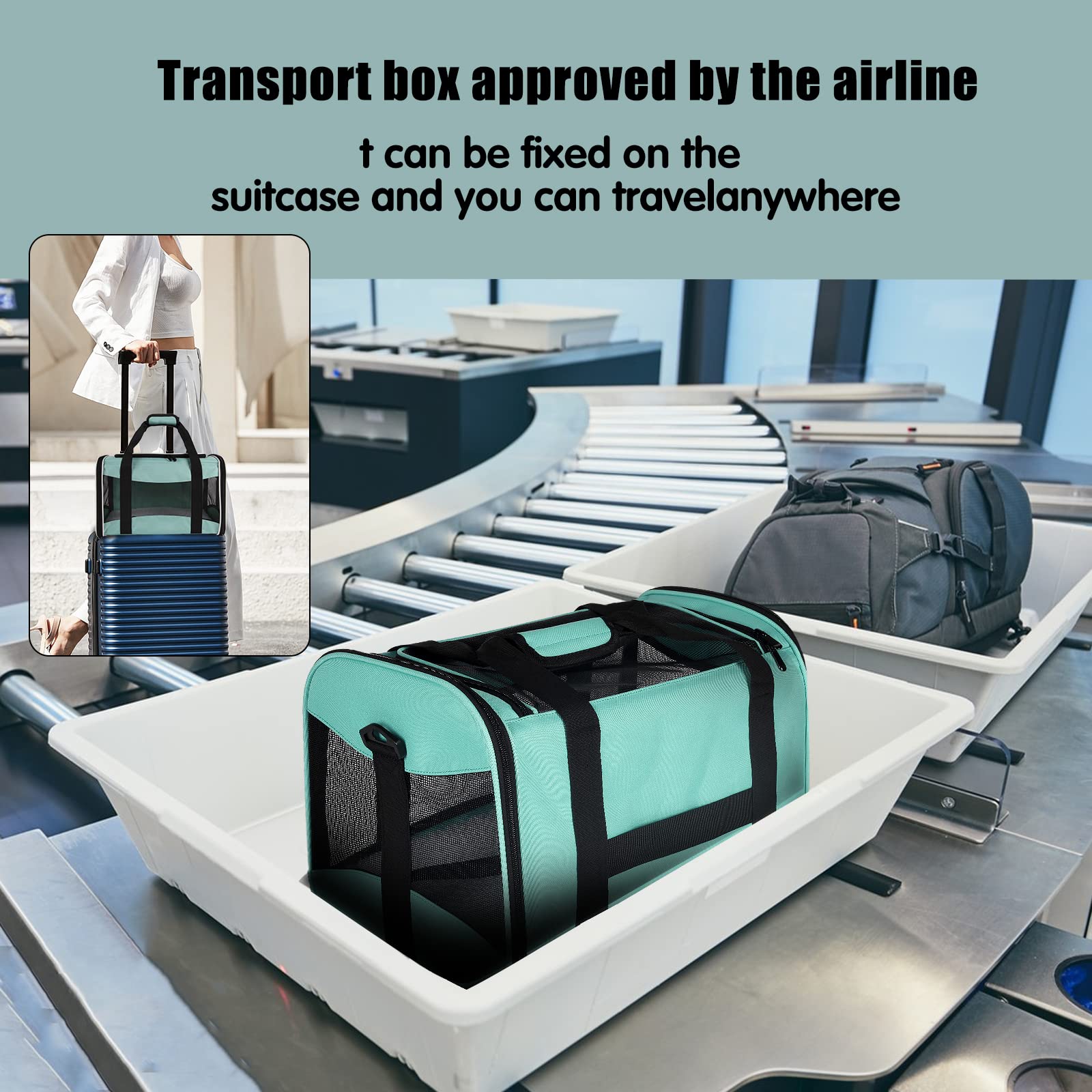 Top tasta airline approved carrier with adjustable shoulder strap.