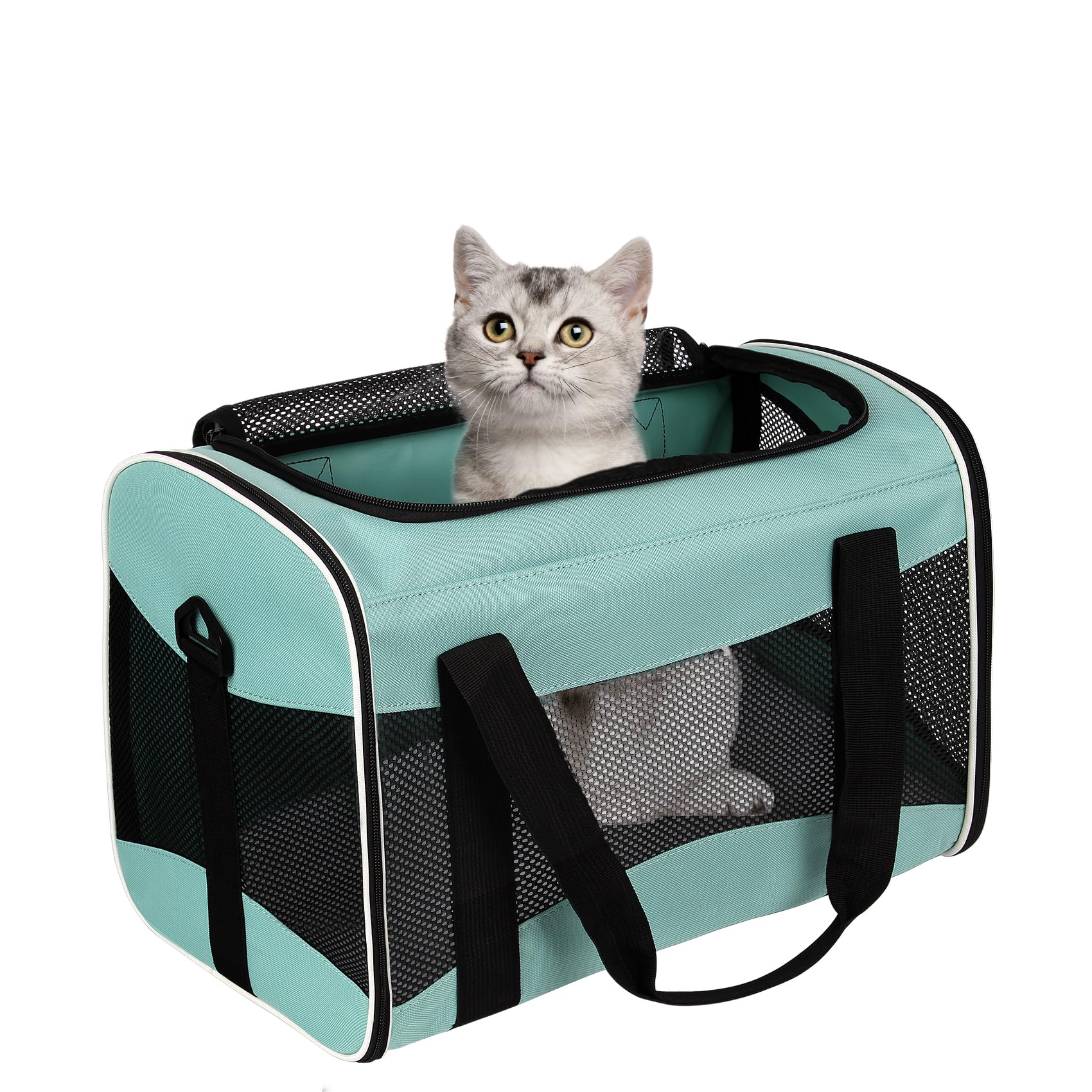 Top tasta airline approved pet bag fits under most seats