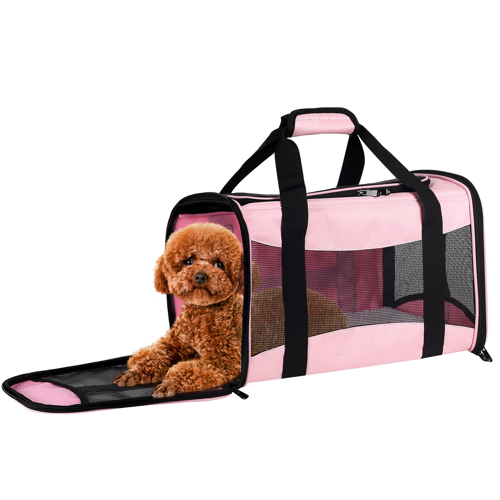 Top Tasta airline-approved pet carrier fits under seats for convenient travel.