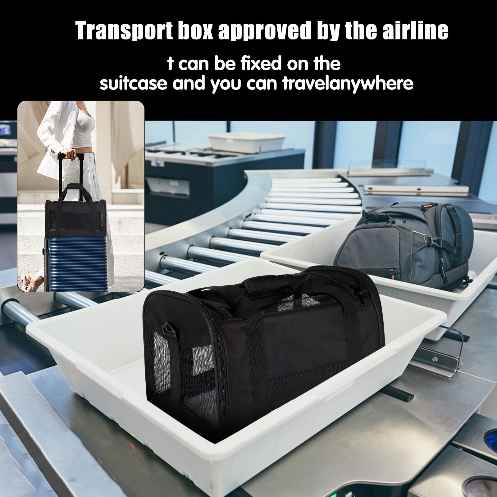 Top Tasta carrier with adjustable strap and handle for portability
