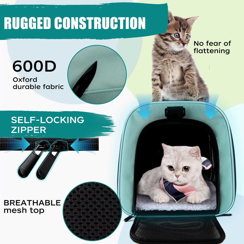 Top Tasta carrier bottom interior ready for pet placement