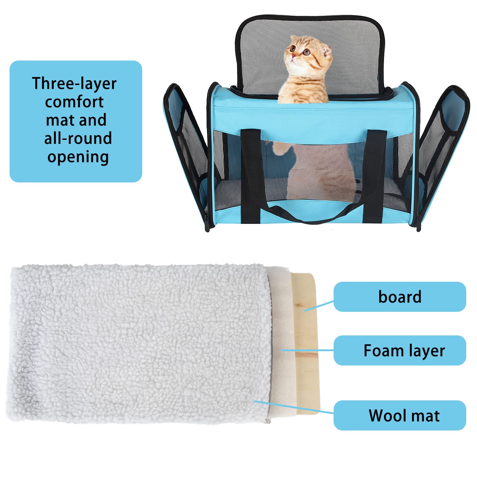 Top Tasta cat carrier anti escape buckle keeps your pet safe during transport