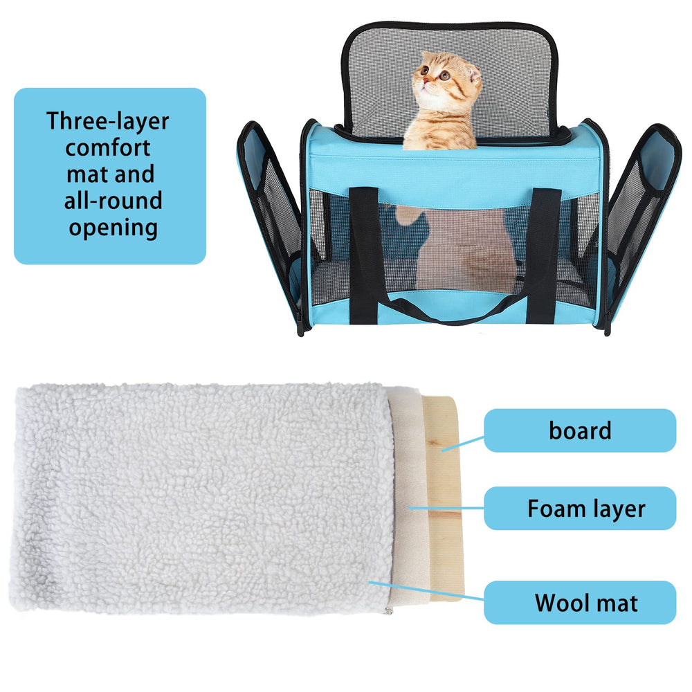 Top Tasta cat carrier anti escape buckle keeps your pet safe during transport
