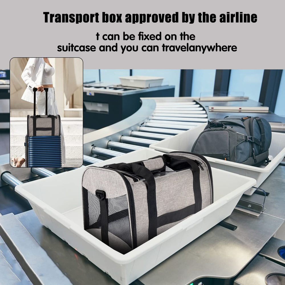 Top Tasta safety buckle prevents escapes during transport