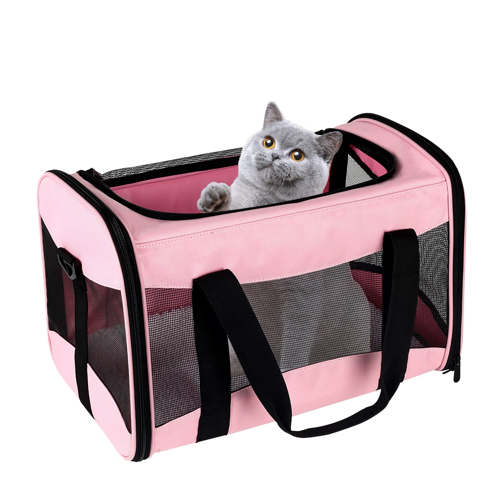Top Tasta cat carrier under-seat fit for easy airline travel and comfort.