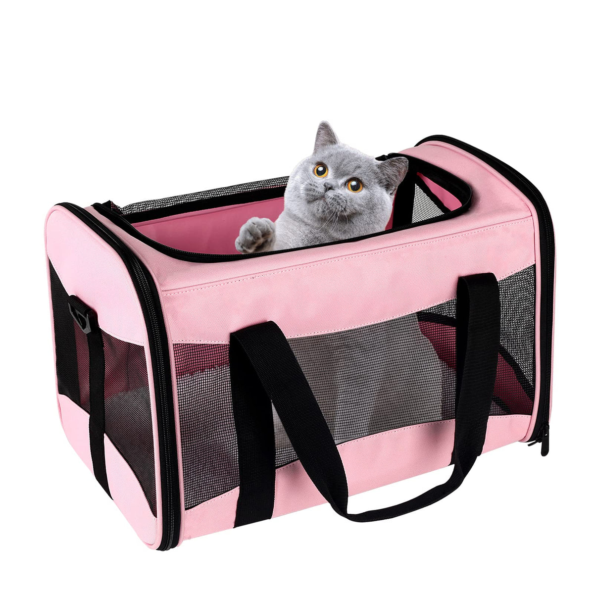 Top Tasta cat carrier under-seat fit for easy airline travel and comfort.