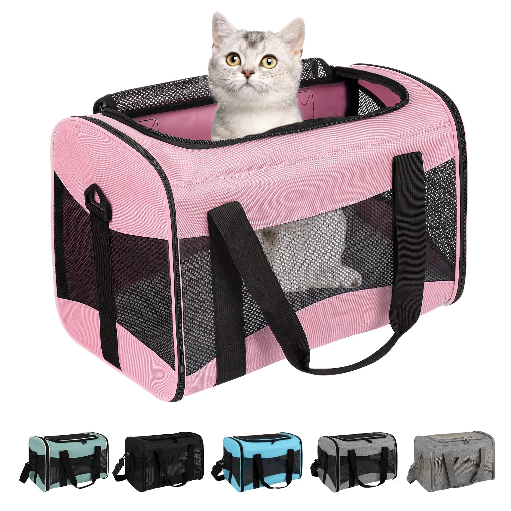 Top Tasta cat carrier under-seat fit for easy airline travel.