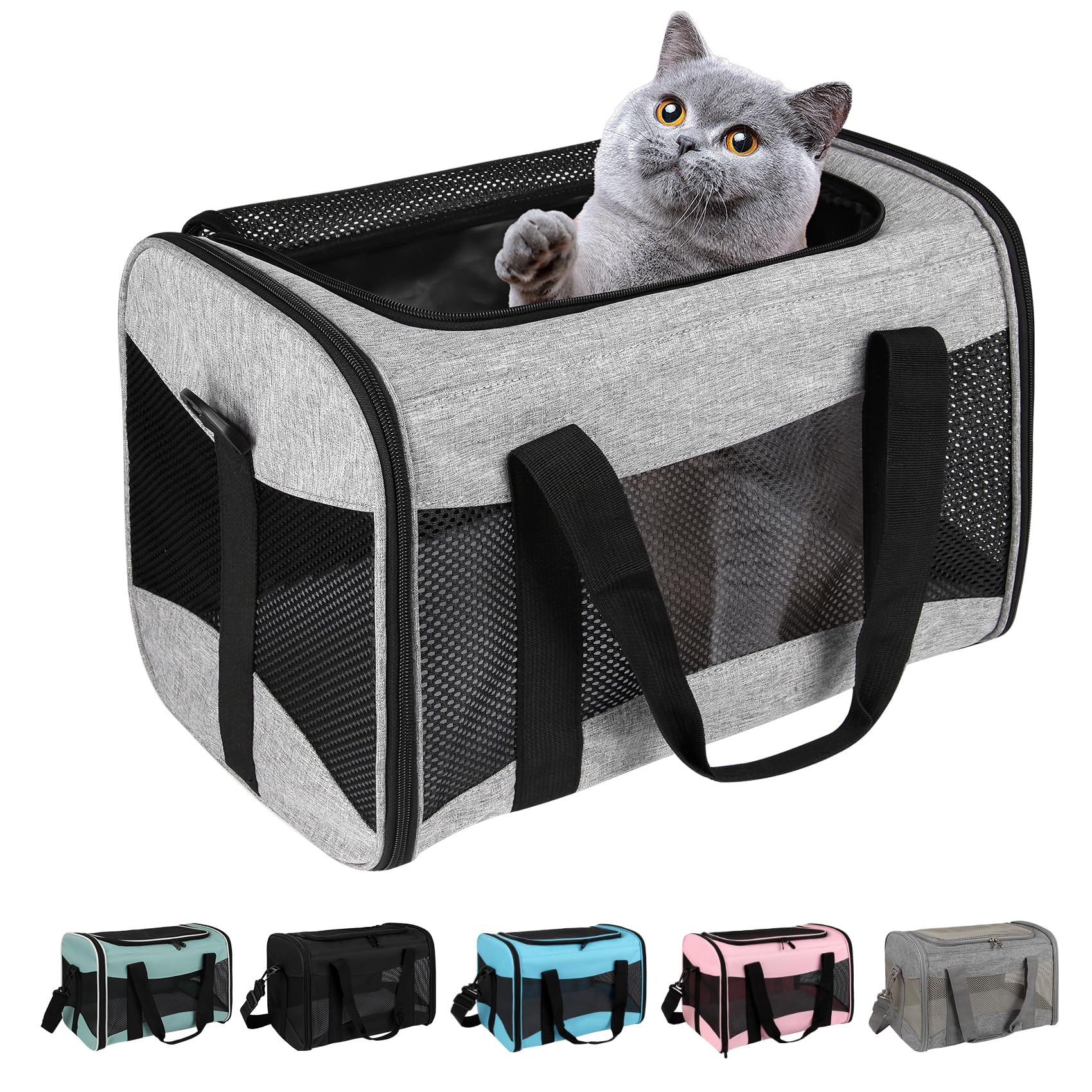 Top Tasta cat carrier under-seat design ideal for cabin travel