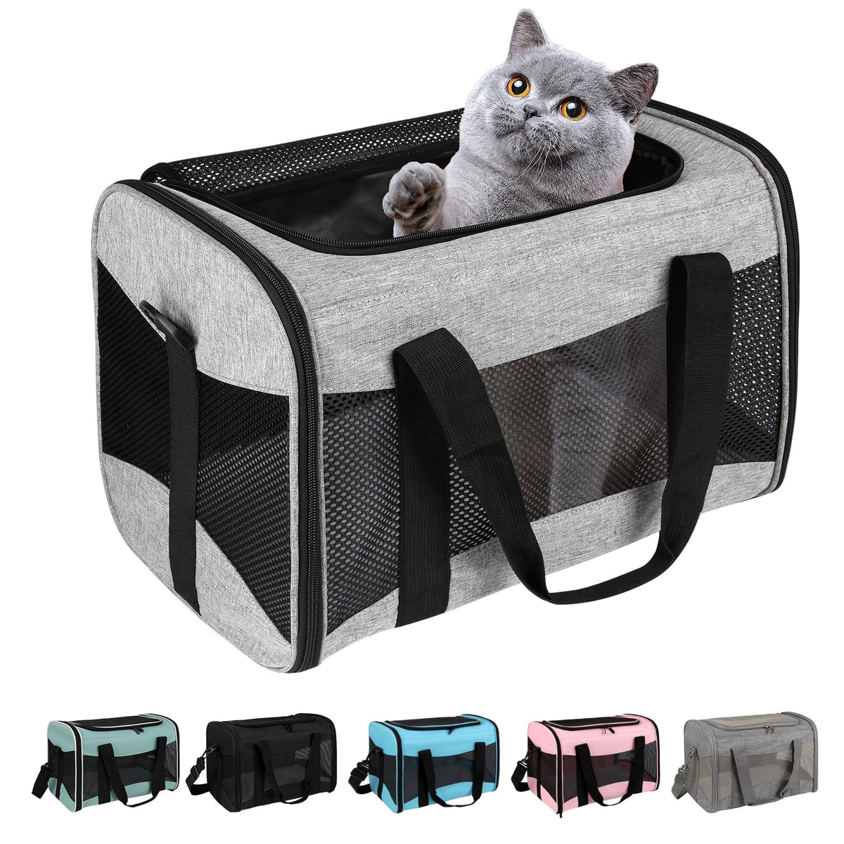 Top Tasta cat carrier under-seat design ideal for cabin travel