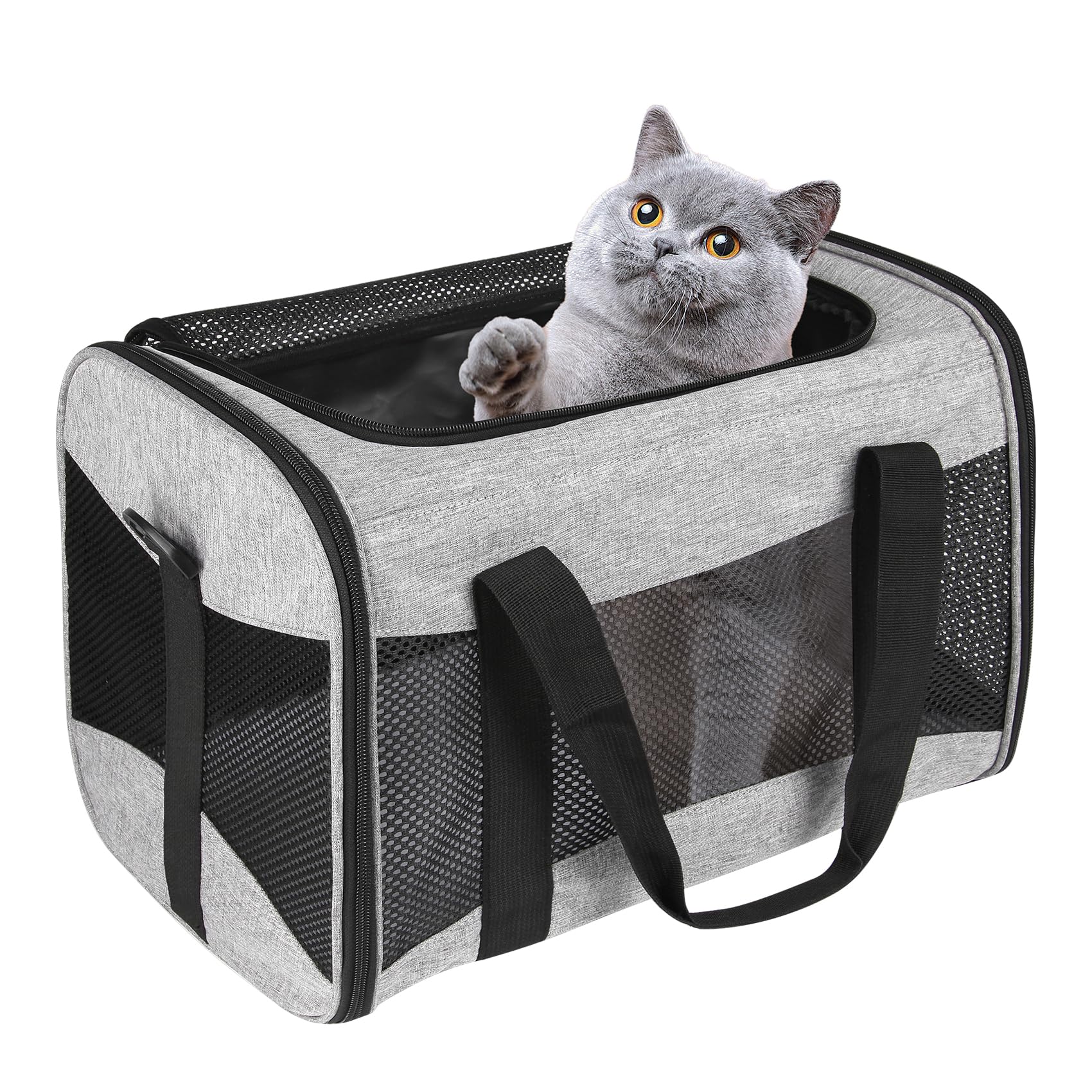 Top Tasta cat carrier under-seat design supports in-cabin travel.