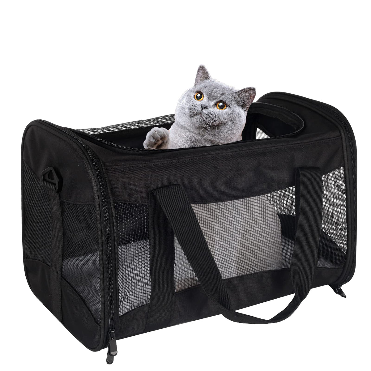 Top Tasta airline-approved cat carrying case under seat for travel