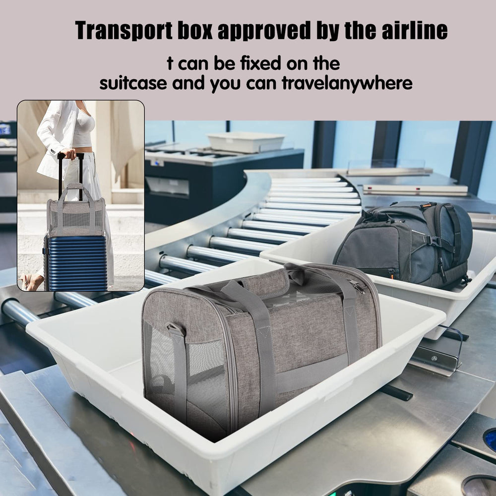 Top Tasta cat carrier with anti-escape buckle for security