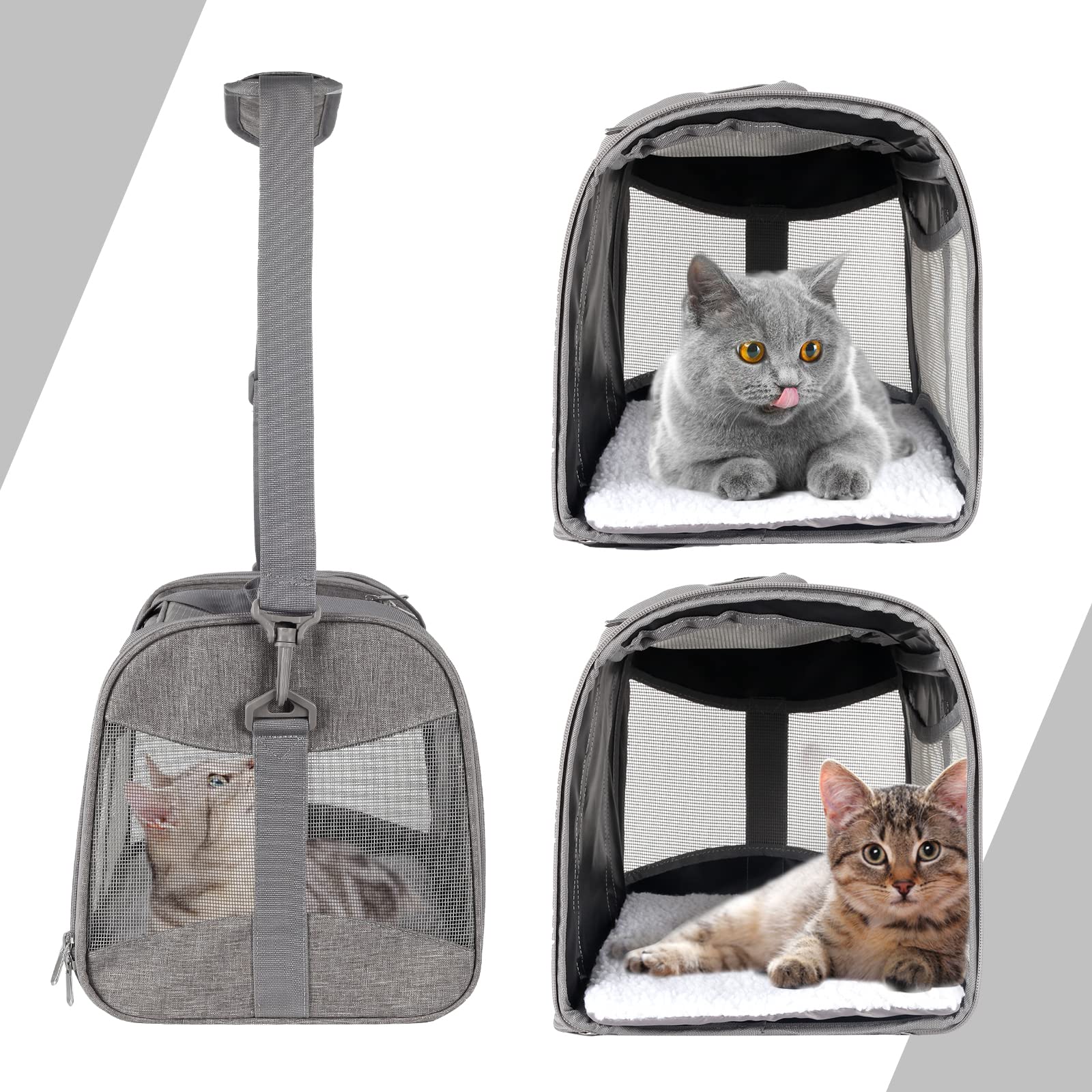 Top Tasta collapsible design for compact storage when not in use