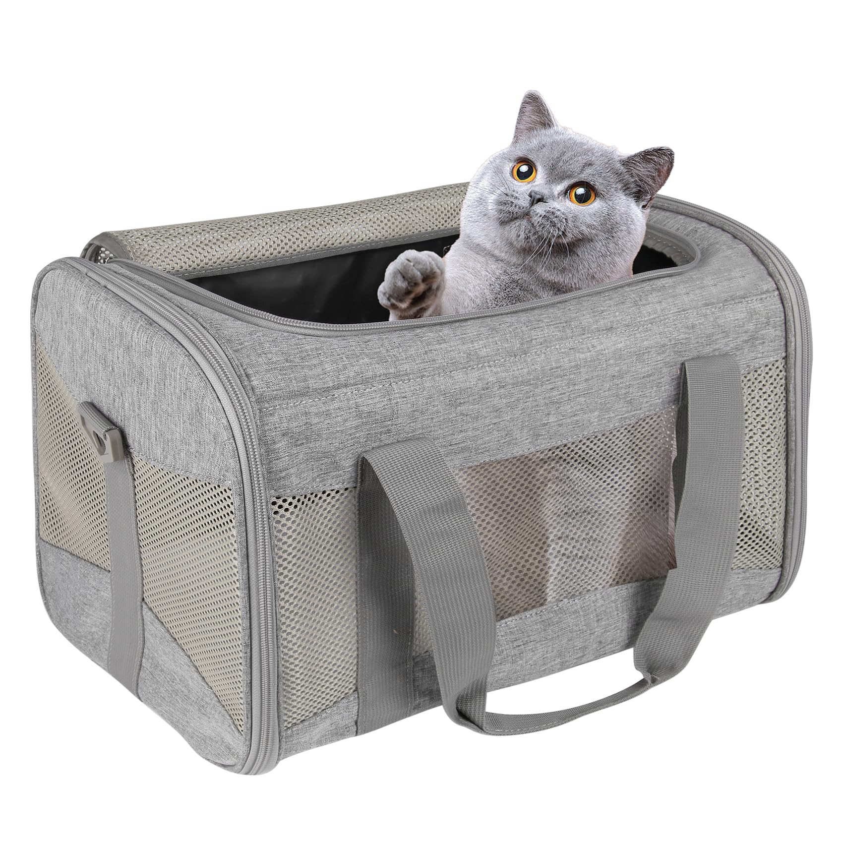 Top Tasta cat carrying case fits under most airline seats for easy travel.