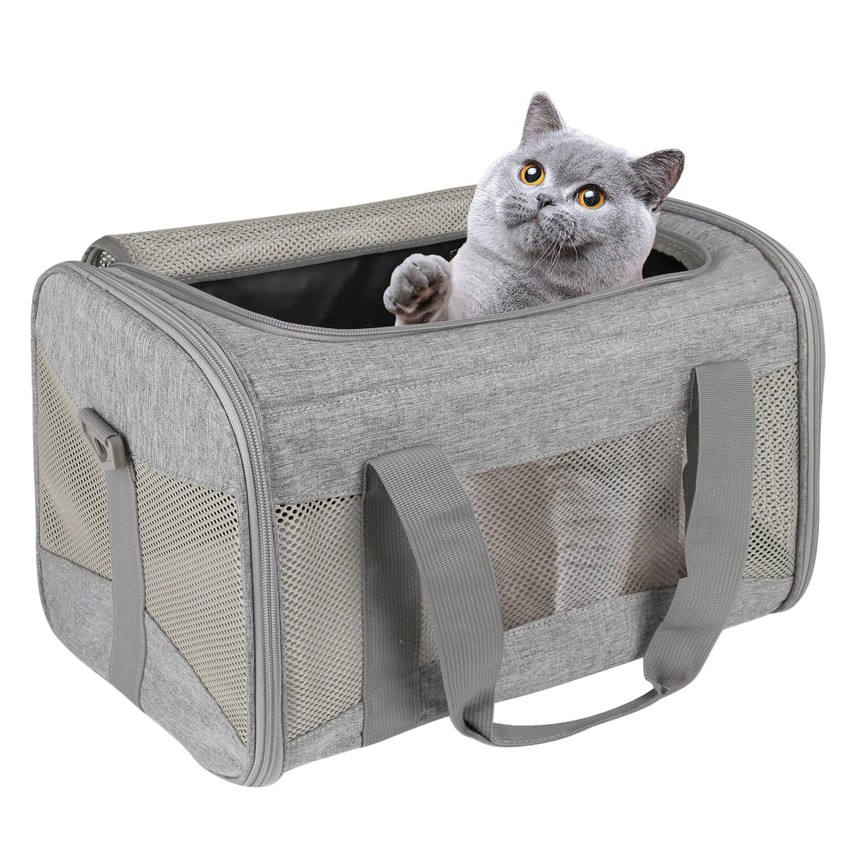 Top Tasta cat carrying case fits under most airline seats for easy travel.