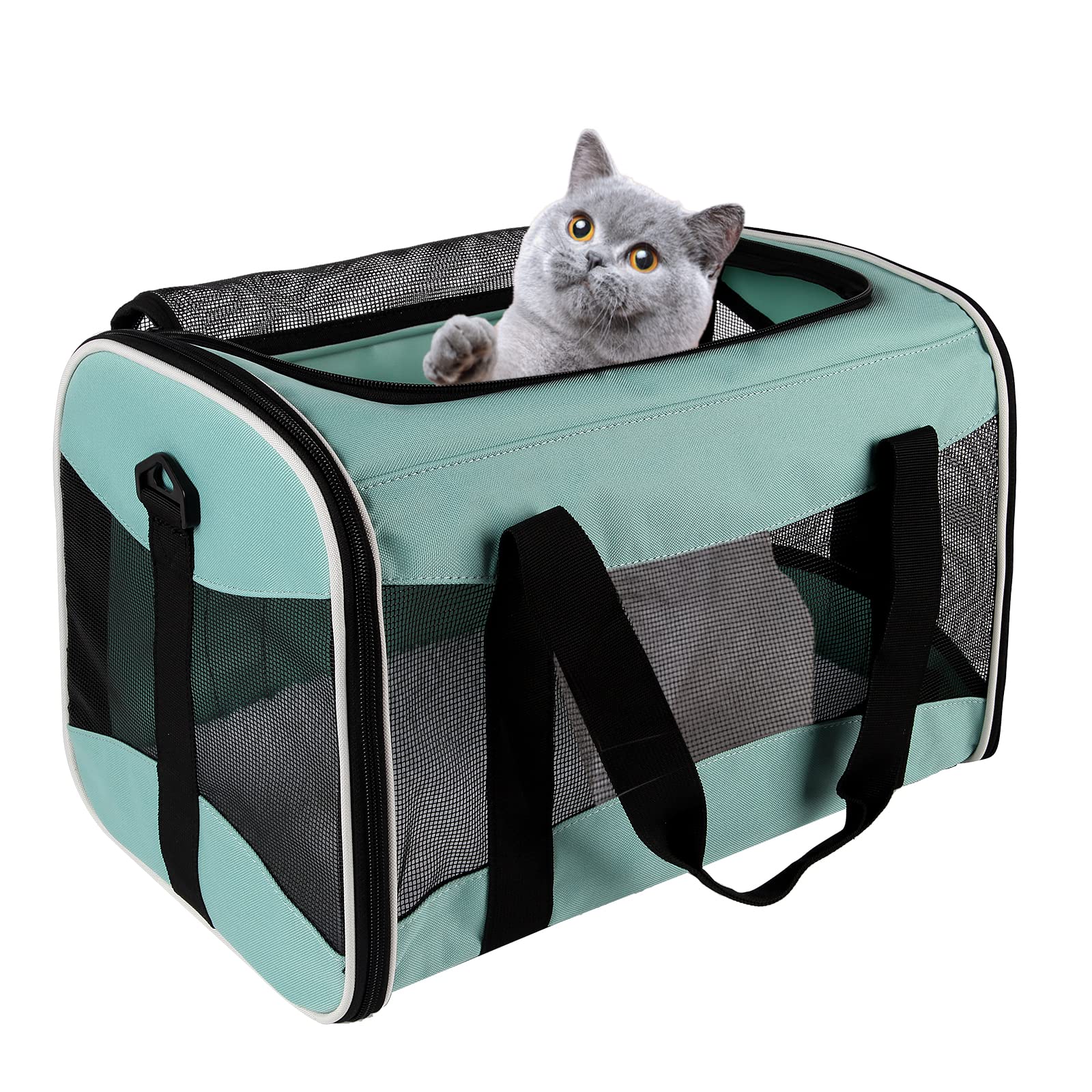 Top tasta cat carrying case under-seat design for air travel
