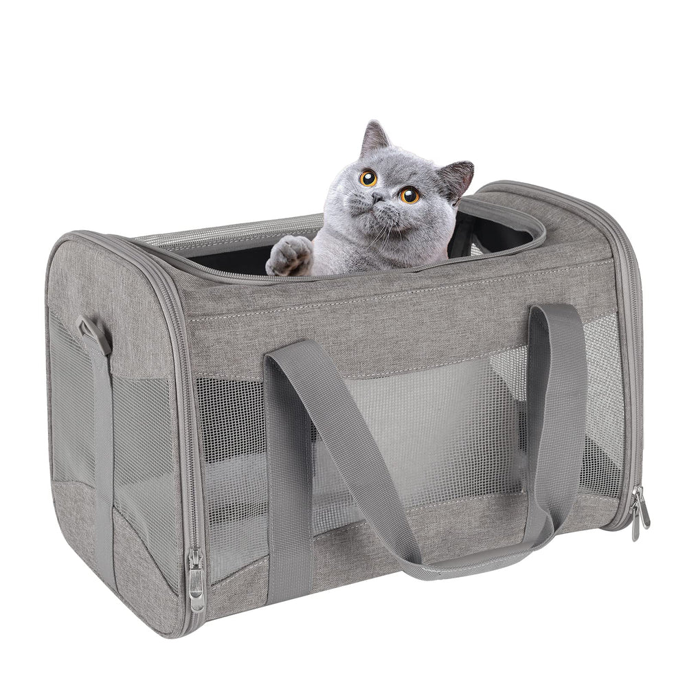 Top Tasta cat carrier under-seat fit for easy travel with pets