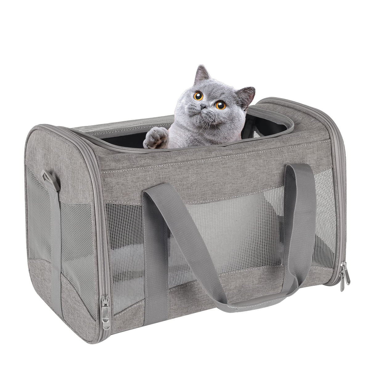 Top Tasta cat carrier under-seat fit for easy travel with pets