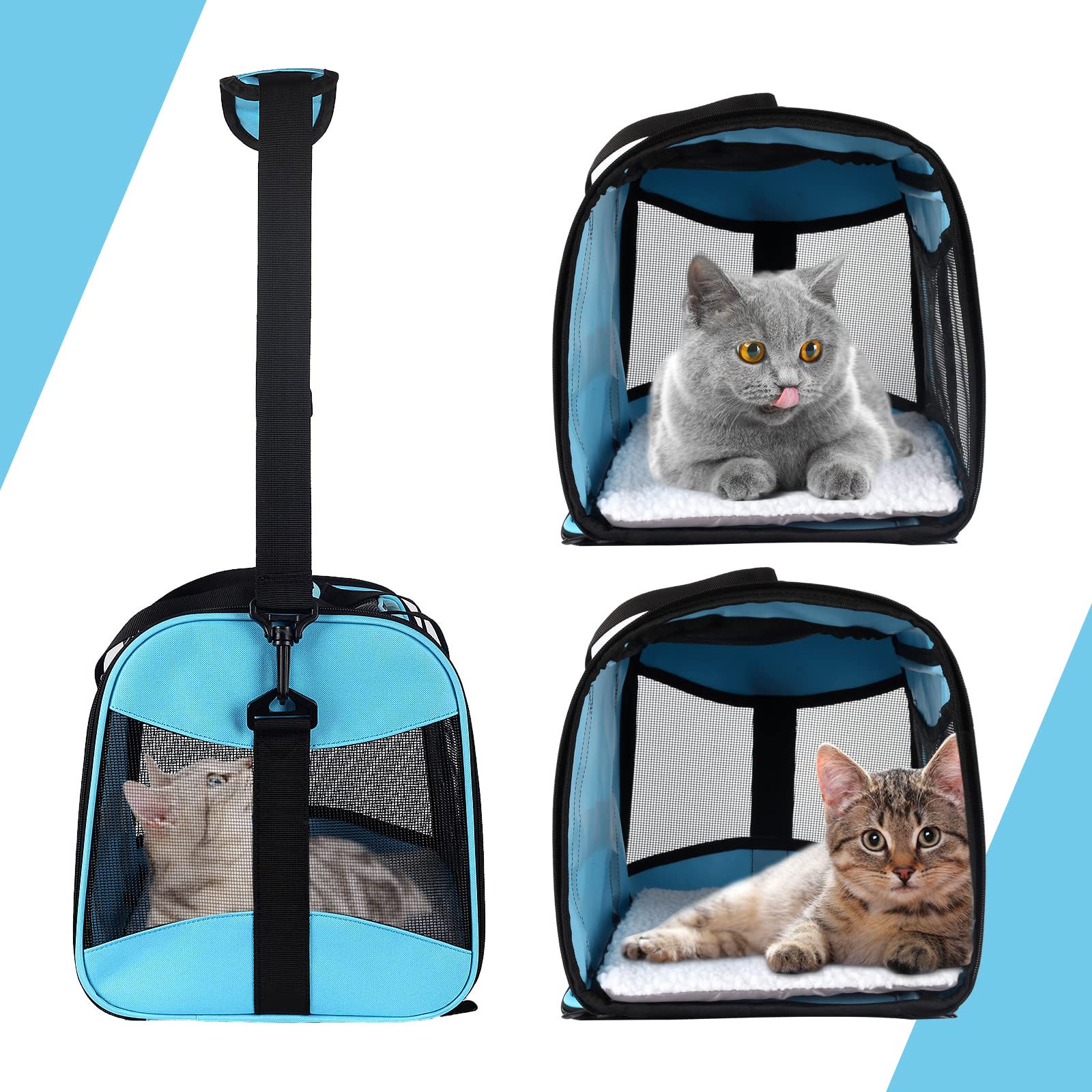 Top Tasta cat and dog travel carrier collapsible for compact storage