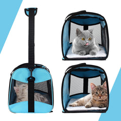 Top Tasta cat and dog travel carrier collapsible for compact storage