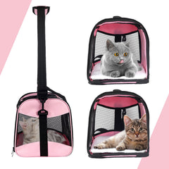 Top Tasta collapsible pet carrier folds compactly for storage at home.