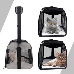 Top Tasta collapsible travel bag folds flat for compact storage.