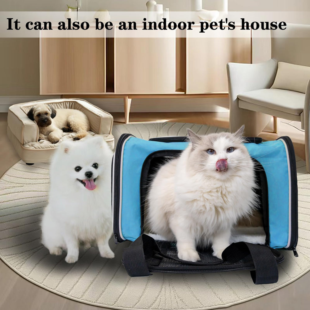 Top Tasta dog-cat carrier removable soft mat for cozy interior.