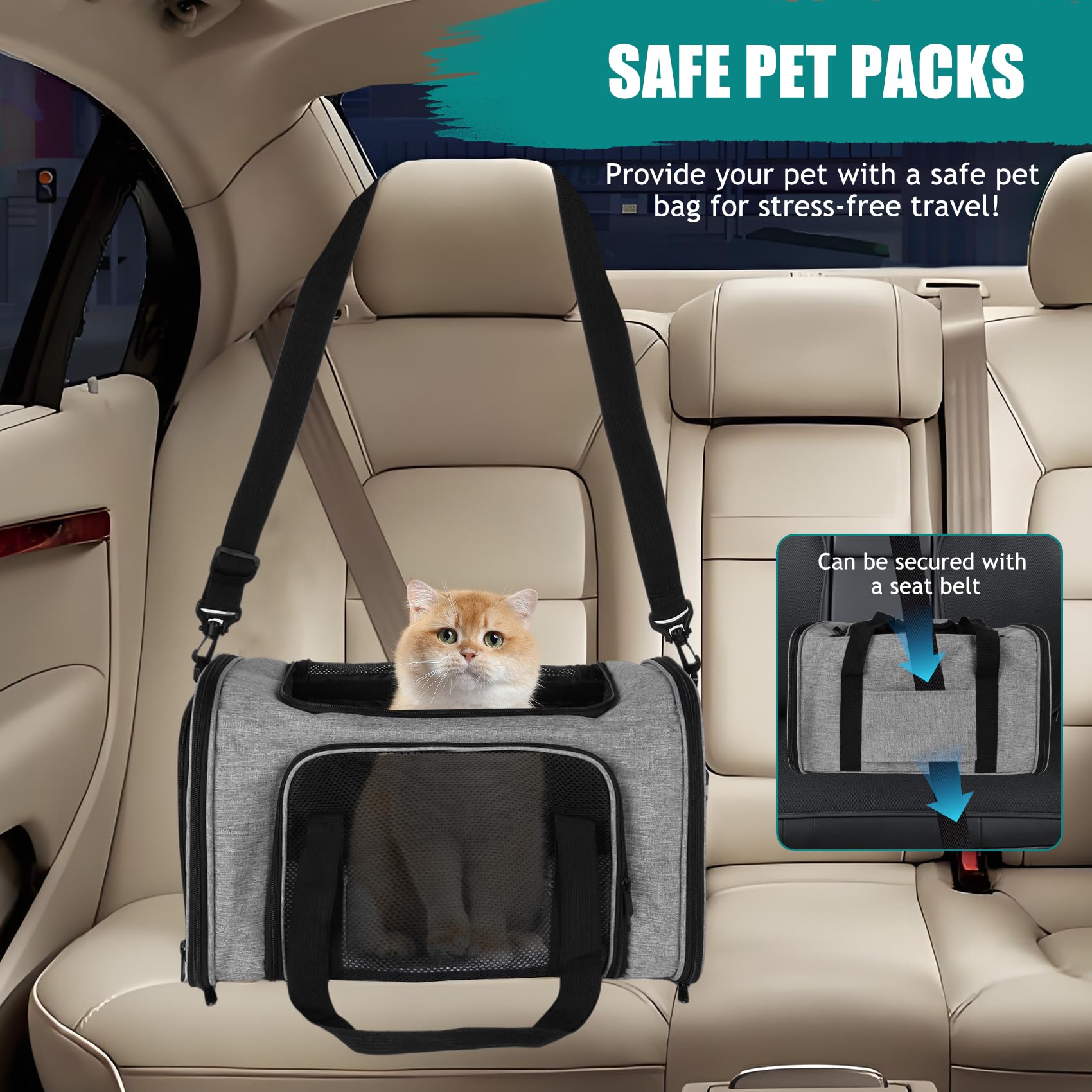 Top tasta interior view shows comfortable space for pets.