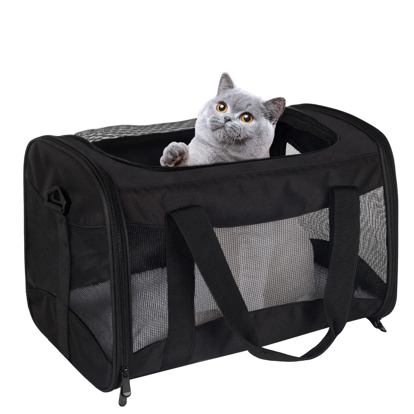 Top tasta pet travel bag with dual handles for versatility.
