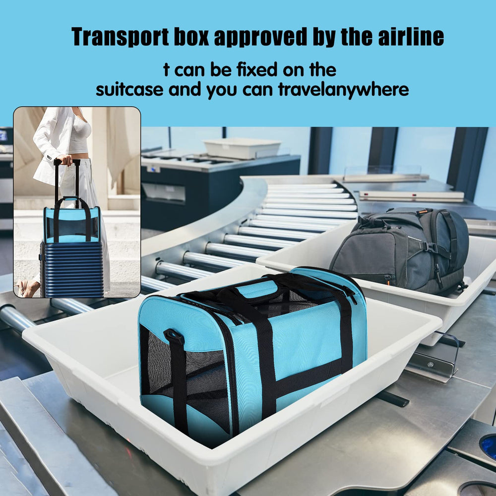 Top Tasta carrier with dual harness and luggage strap for secure carrying