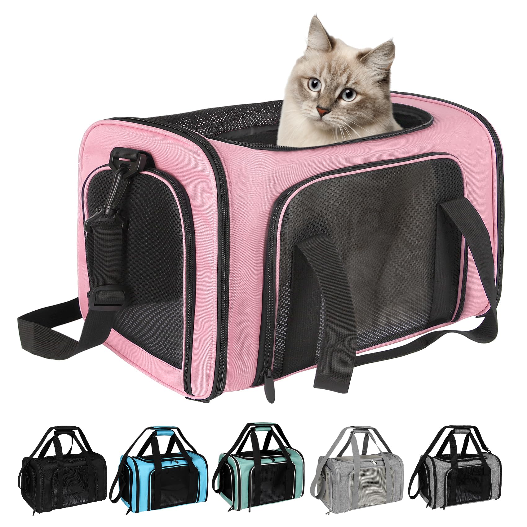 Top Tasta foldable travel carrier stored flat and portable