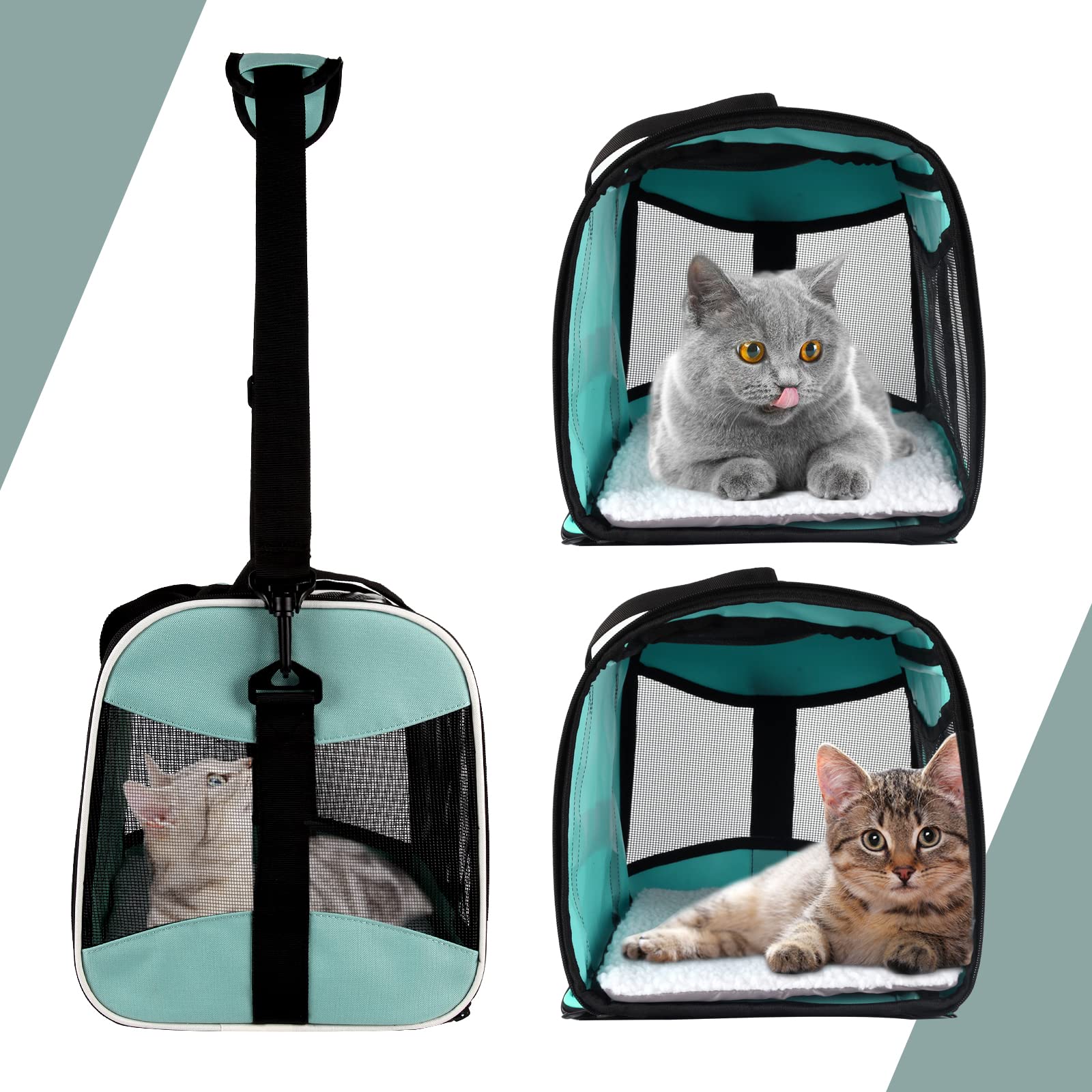 Top tasta interior space supports pet movement during trips.