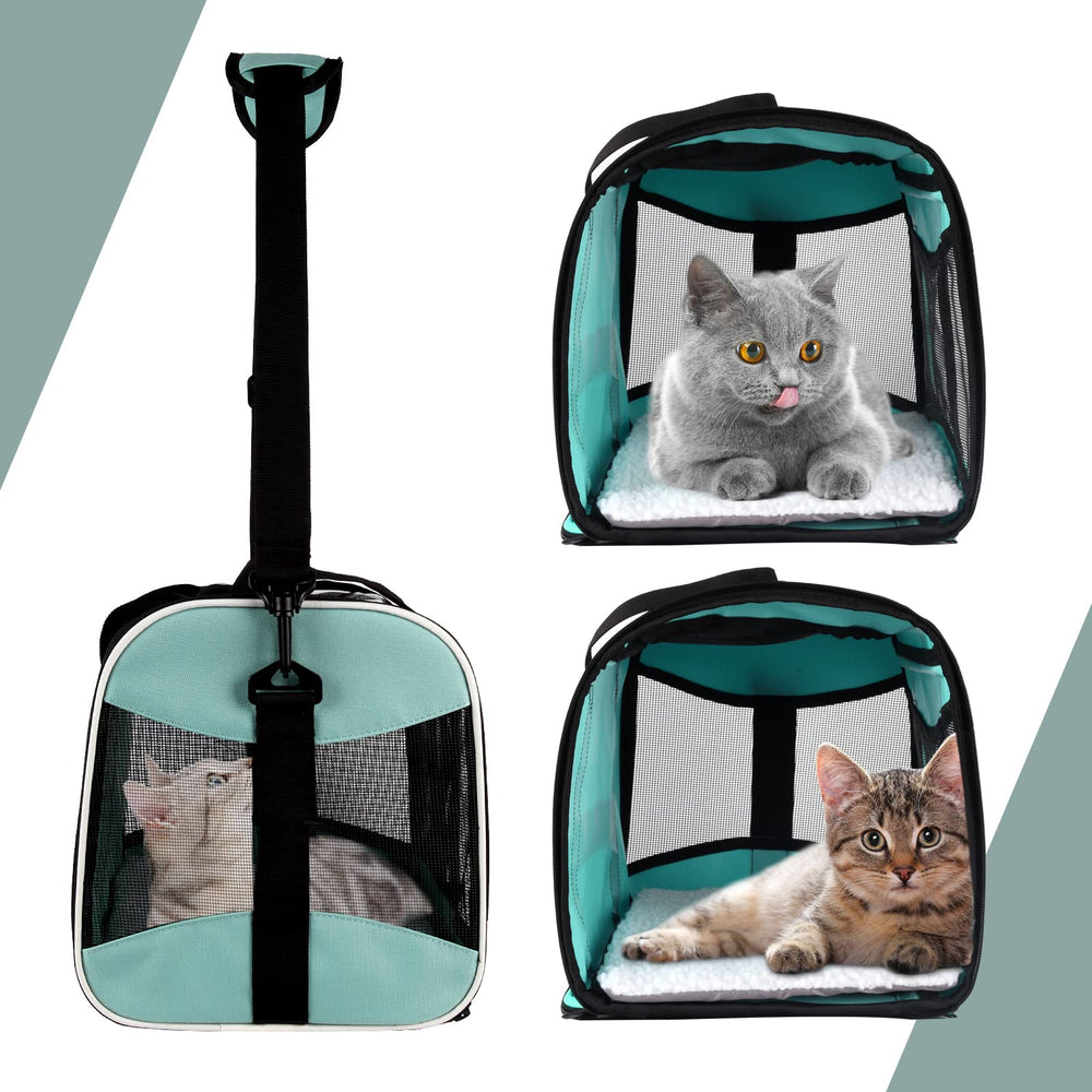 Top tasta interior space supports pet movement during trips.