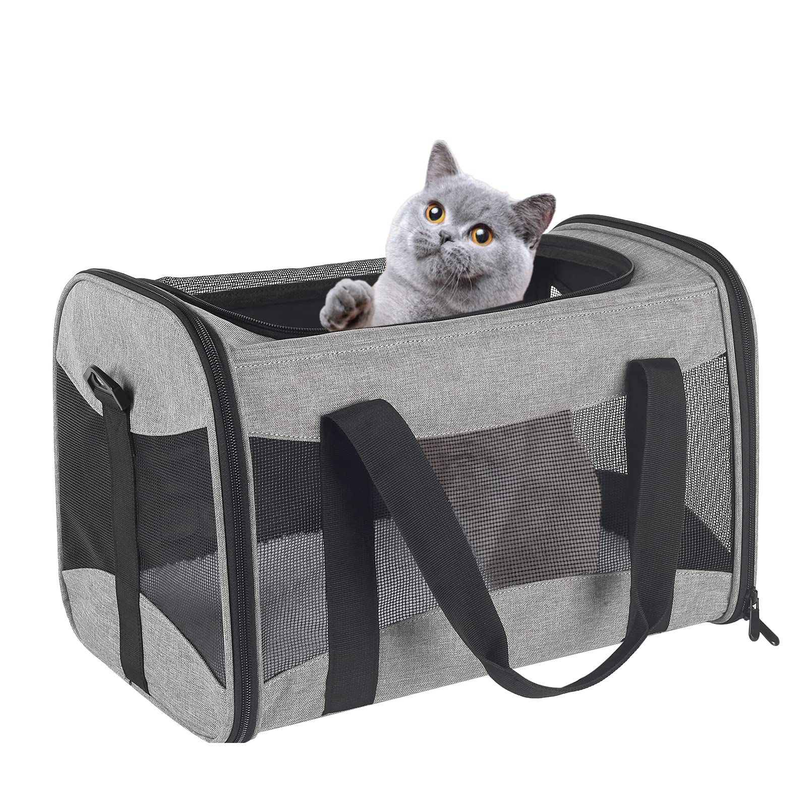 Top Tasta portable foldable carrier with adjustable strap for easy carrying.