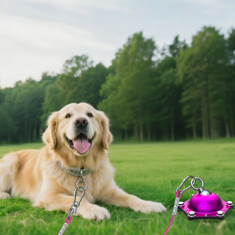 TOPKNOT outdoor tether setup suitable for camping and backyard use