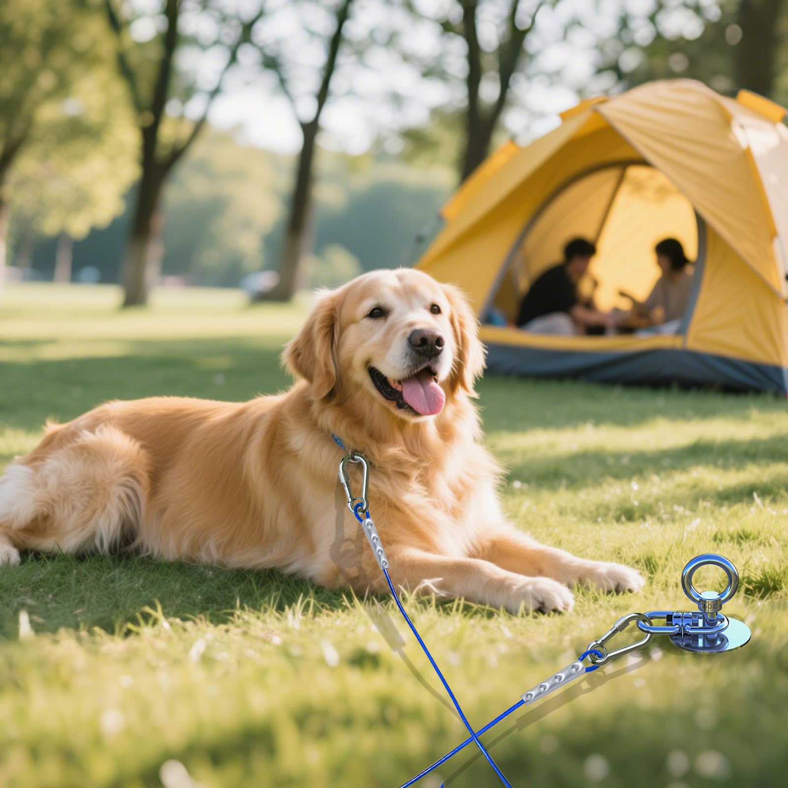TOPKNOT portable dog run kit ideal for backyard and camping use.