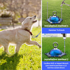 TOPKNOT rotating base ring for easy leash connections.