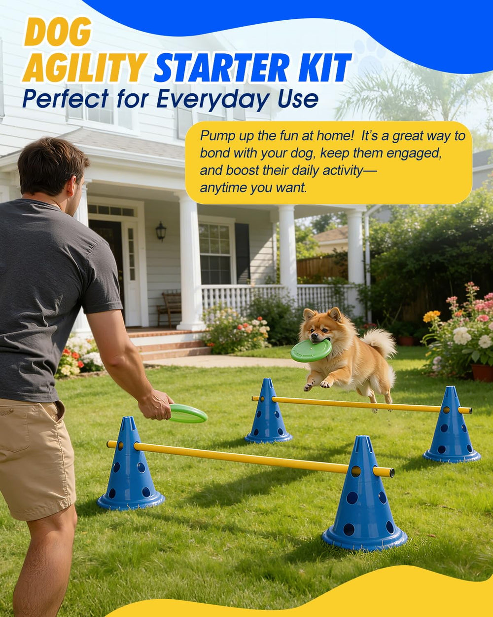 Toplamper Dog Agility height-adjustable crossbar demonstrates progressive training options