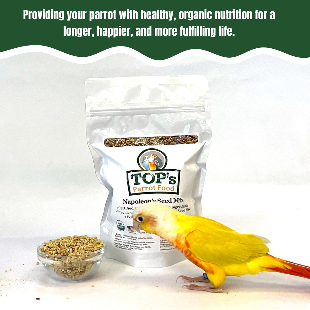 Soaked preparation of TOP's Napoleon's Seed Mix for easier chewing
