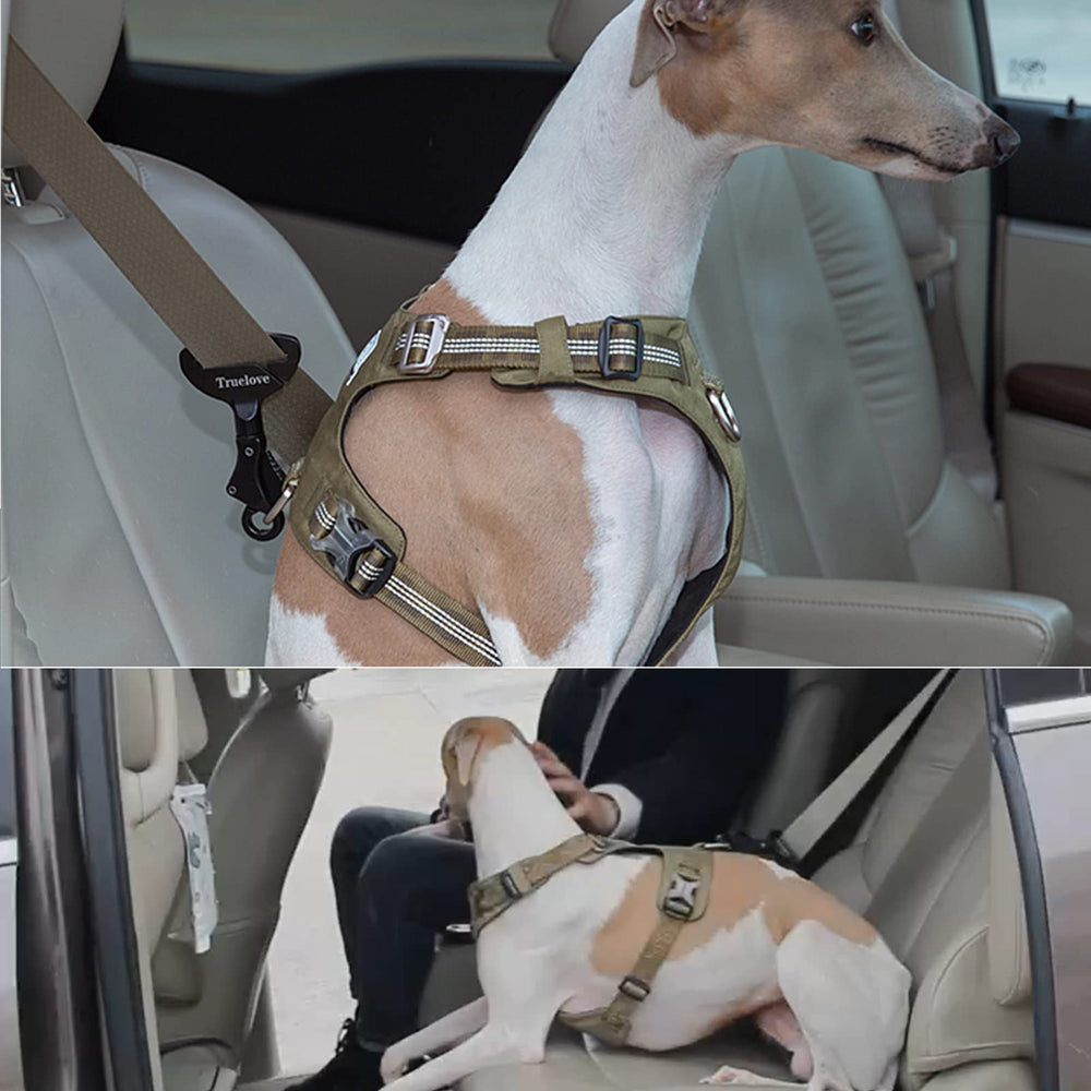 TOPSOSO Truelove dog restraint in car seat demonstrates comfortable yet controlled travel.