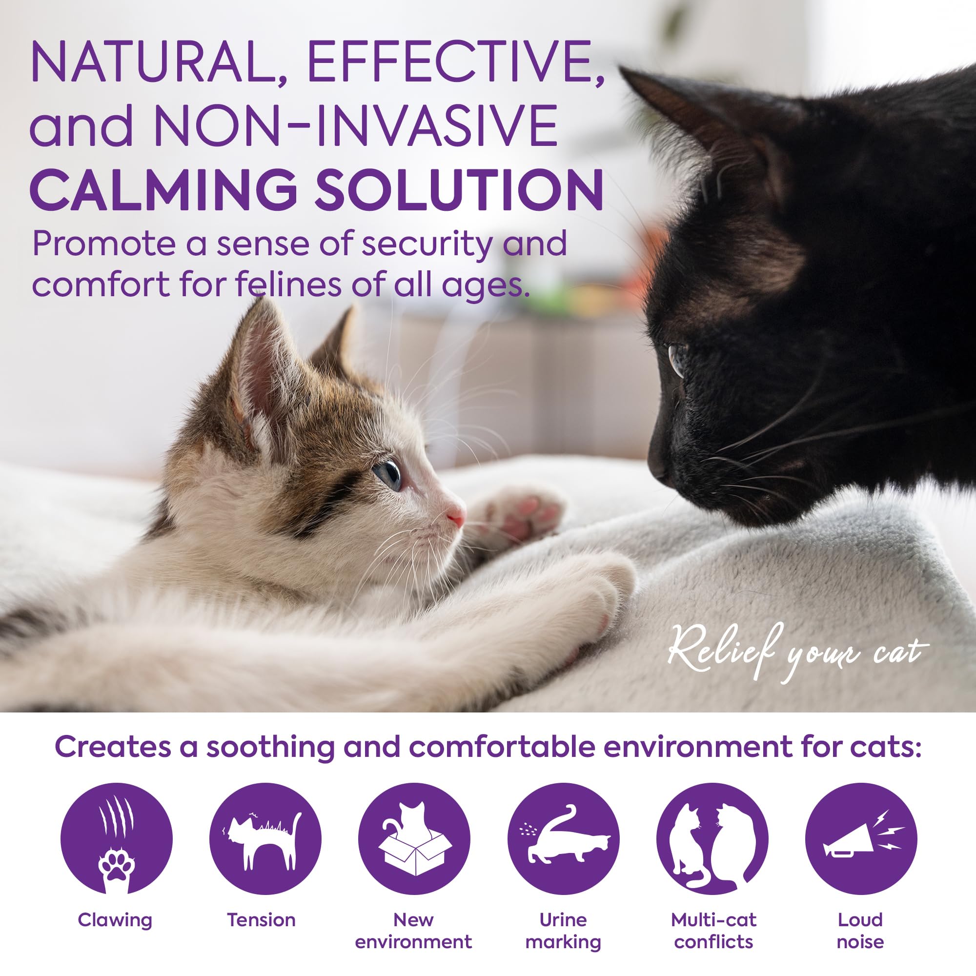 TopSum refill vials collection shows multiple refills for continuous calming