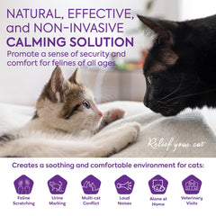 TopSum refill vial demonstrates long lasting support for up to 30 days.