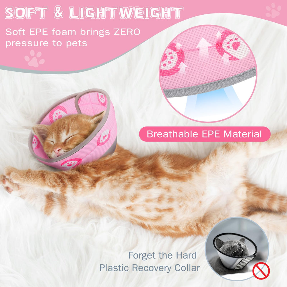 Toptakeit folding-edges keep vision clear for curious cats.