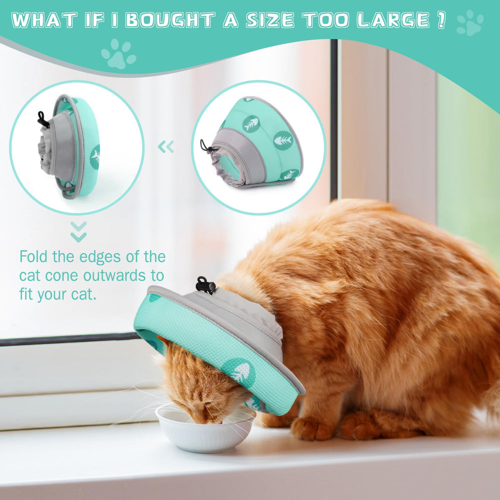 Toptakeit postoperative protection collar suitable for healing and behavior control.
