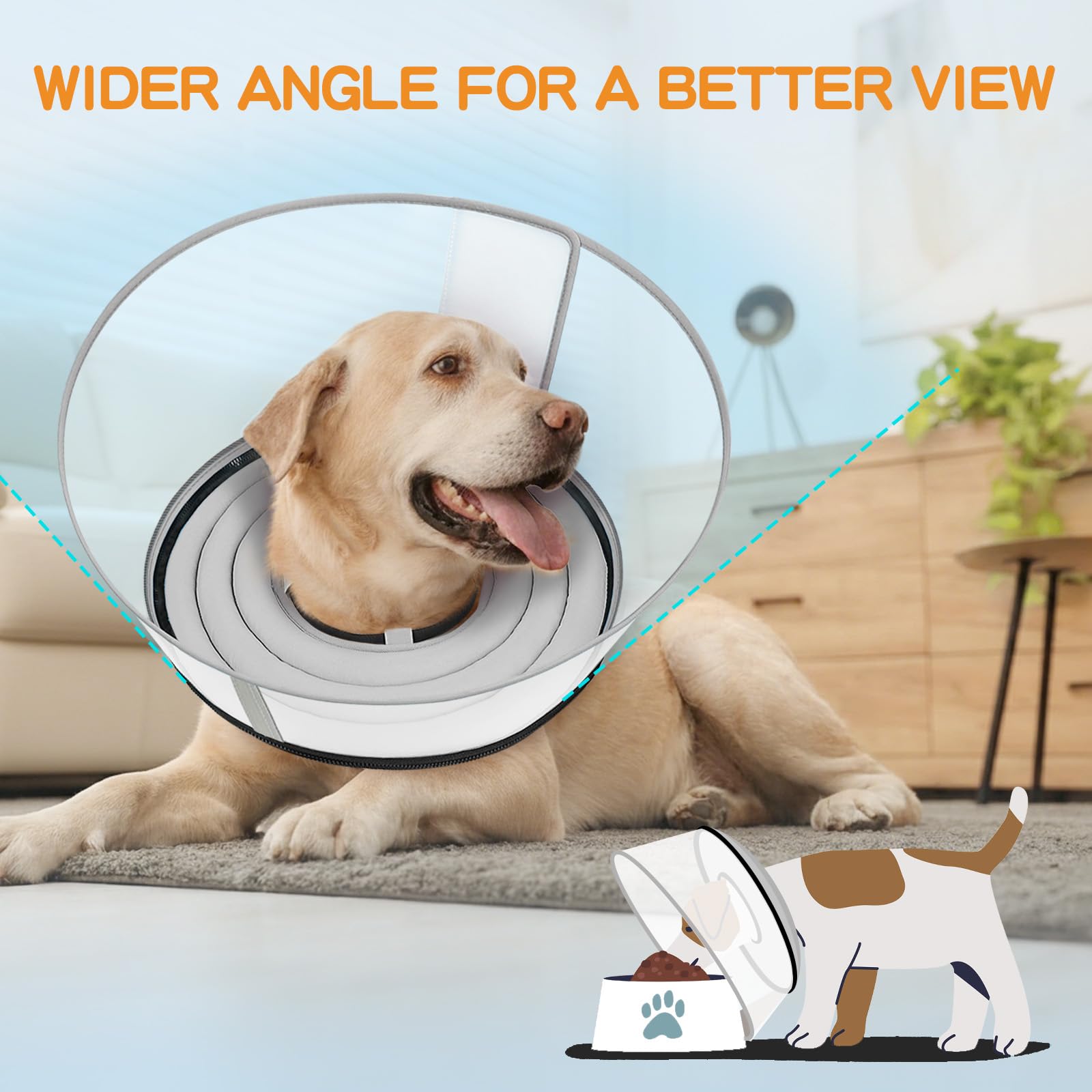 Toptakeit cone keeps the canine moving safely during daily activities