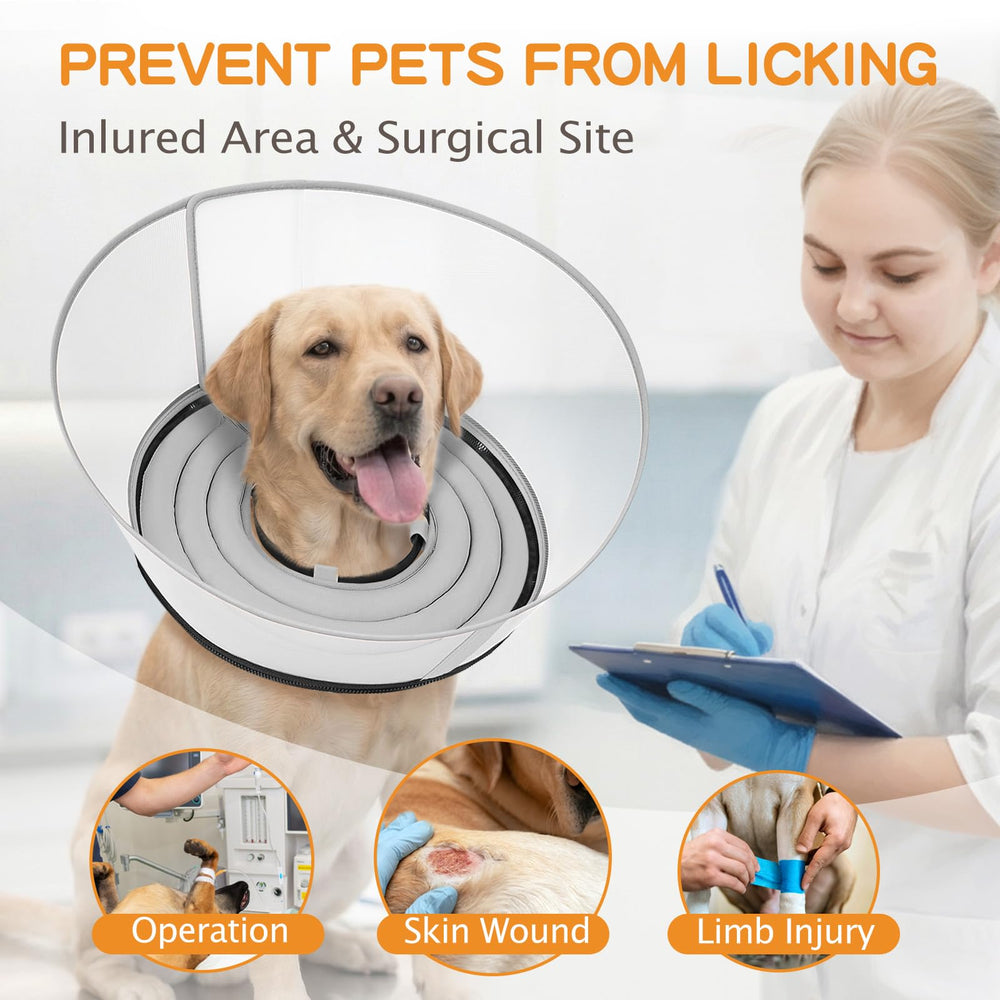 Toptakeit wide-angle recovery collar allows eating and play during healing