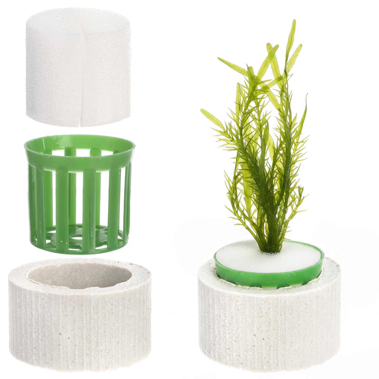TOPZEA anti floating plant holder ring creates neat aquascapes.